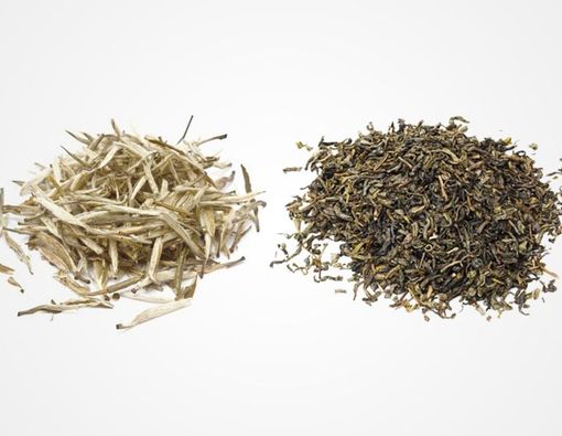 White Tea vs. Green Tea: Mana yang Lebih Banyak Diteliti?