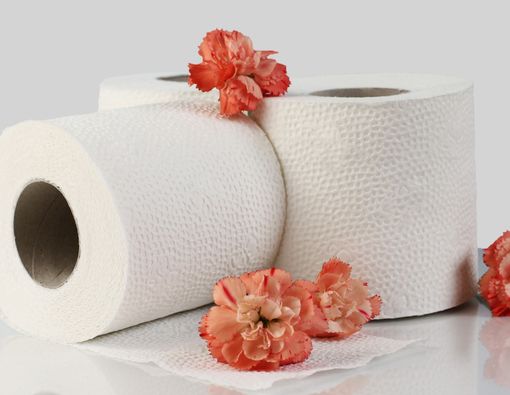 5 Potensi Bahaya Tisu Toilet bagi Organ Kewanitaan