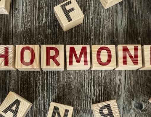 Jenis dan Fungsi Hormon Reproduksi Pria