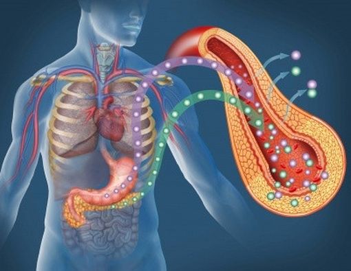 Diabetes Tidak Dapat Disembuhkan, Tapi Bisa Dikelola