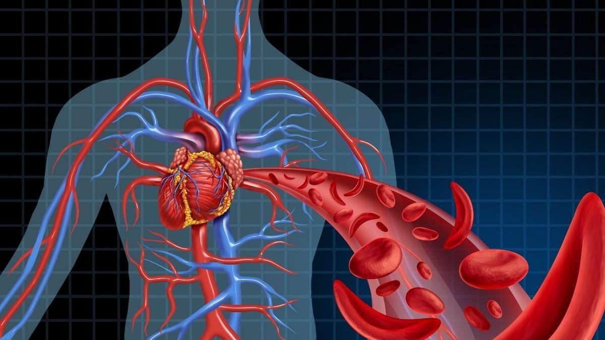 Penyintas COVID-19 Berisiko Alami Komplikasi Kardiovaskular