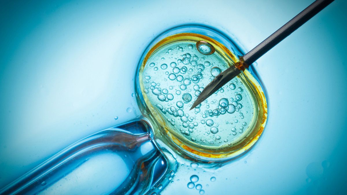 Kenali Fakta Seputar Program Bayi Tabung