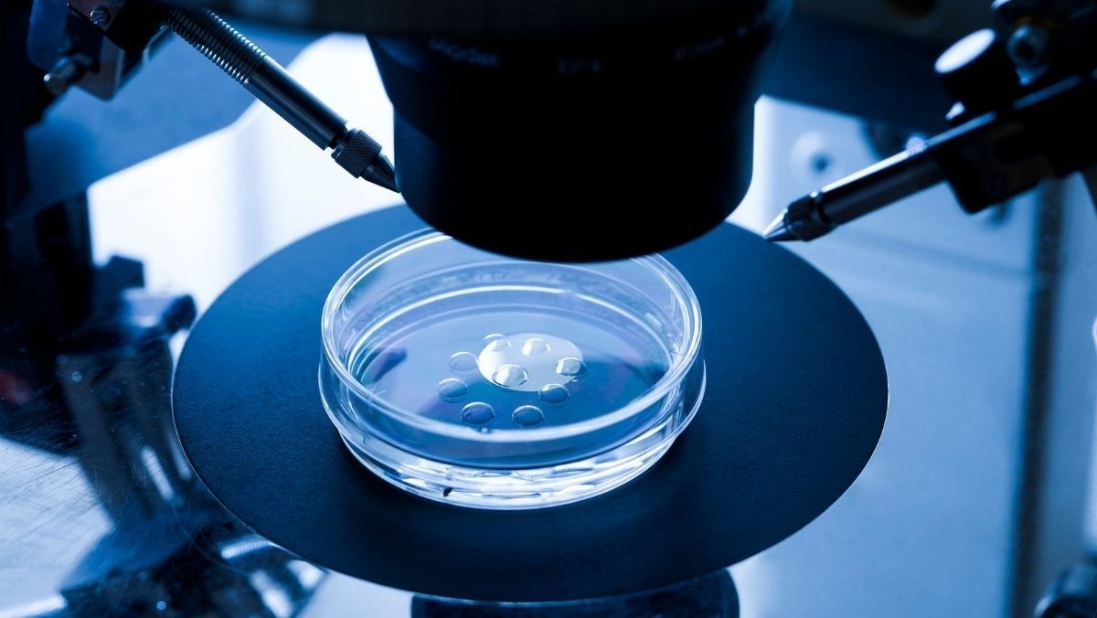 IVF Tingkatkan Risiko Kanker Payudara pada Wanita, Benarkah?