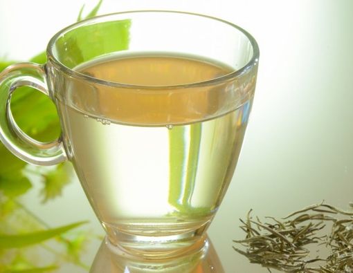 Minum Teh Putih Bisa Cegah Kanker, Mitos atau Fakta?