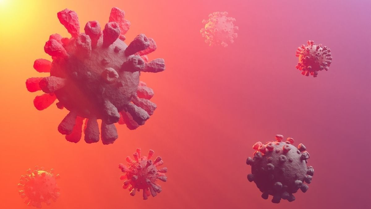Asal-Usul Virus Corona Berdasarkan Hasil Penelitian WHO
