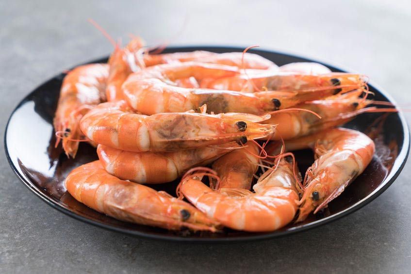 Adakah Cara untuk Mengatasi Alergi Udang?