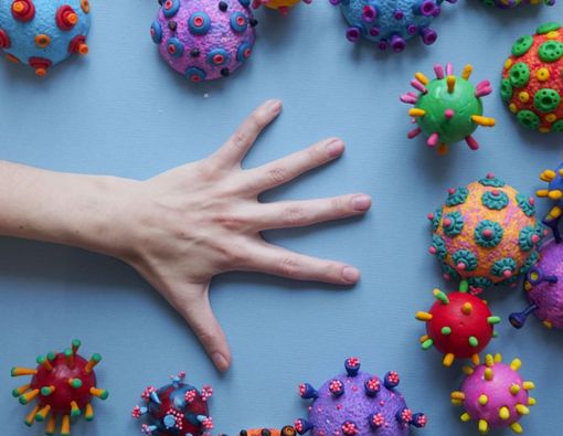 Kenali Virus Nipah, dari Gejala, Pengobatan, dan Pencegahannya