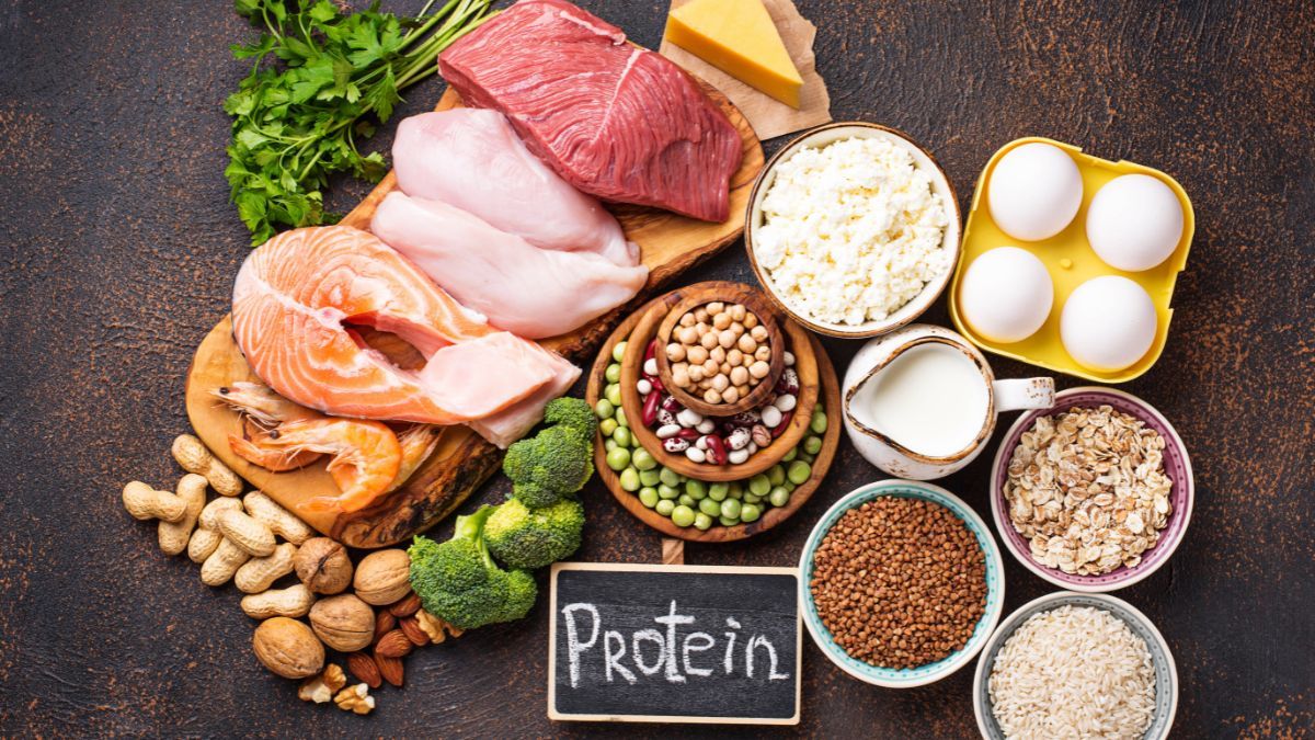 sumber makanan tinggi protein untuk anak