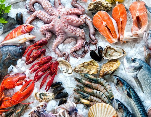 Daftar Seafood yang Bermanfaat bagi Tulang dan Gigi