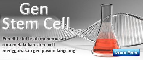 Stem Cell melalui Gen
