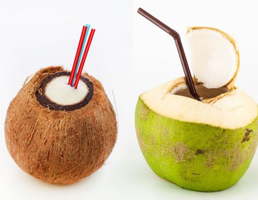 Air Kelapa Muda vs Air Kelapa Tua, Mana yang Lebih Sehat?