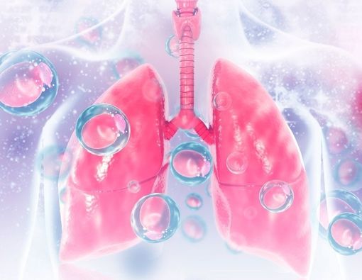 Prosedur dan Fungsi Tes Plethysmography Paru