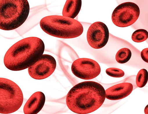 Mengenal Apa Itu Hemoglobin, Kadar Normalnya, dan Fungsinya Pada Tubuh