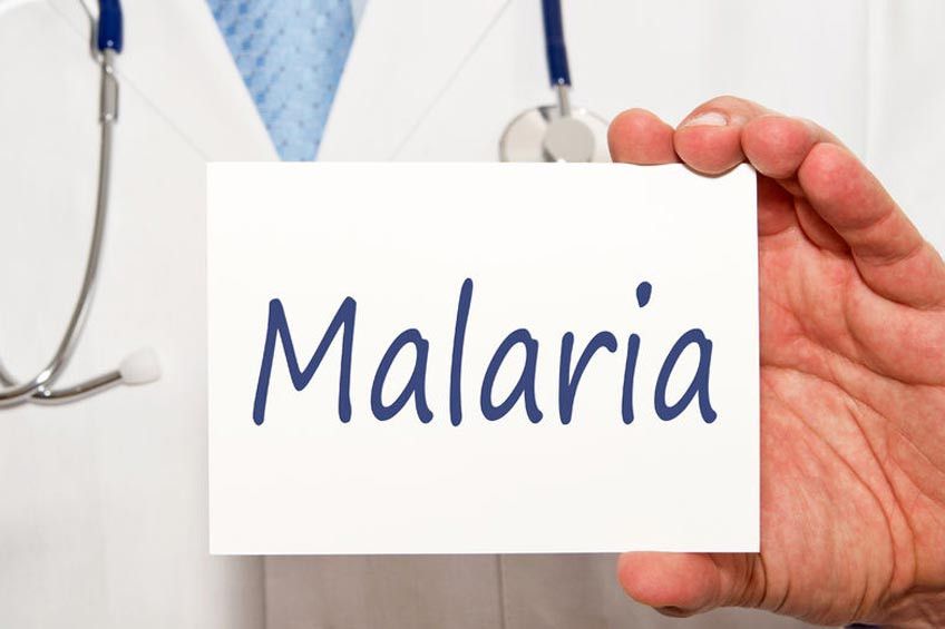 Kisah Dokter yang Terkena Malaria saat Hamil