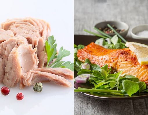 Tuna dan Salmon, Mana yang Lebih Sehat?