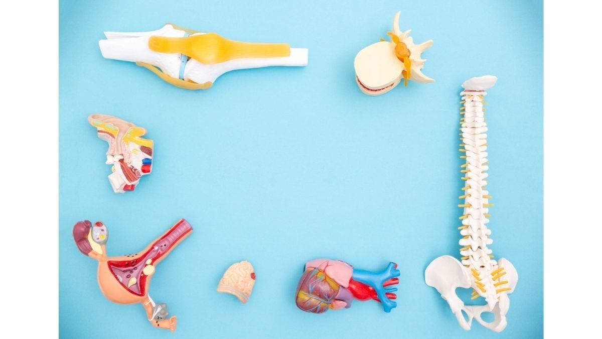 Komplikasi yang Dapat Terjadi Setelah Operasi Cangkok Tulang