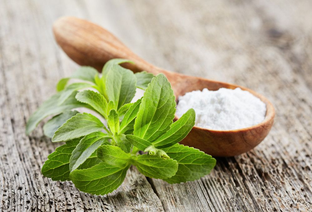 Stevia, Solusi Manis untuk Diabetes Mellitus