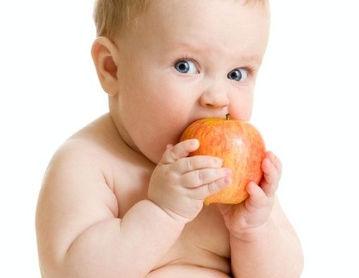 Si Kecil Siap Makan? Ini Langkah Awal yang Wajib Diketahui