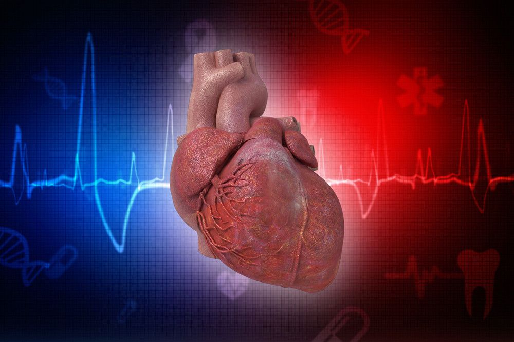 Kaldu Tulang Bisa Tingkatkan Kesehatan Jantung?
