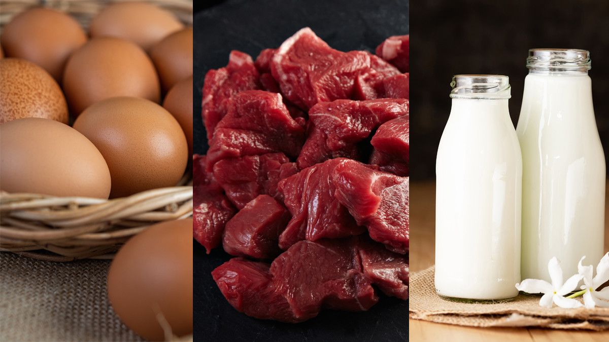 Kolesterol Telur, Daging, dan Produk Susu, Mana yang Lebih Tinggi?