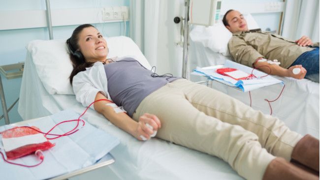 6 Fakta tentang Palang Merah dan Donor Darah (ESB Professional/Shutterstock)