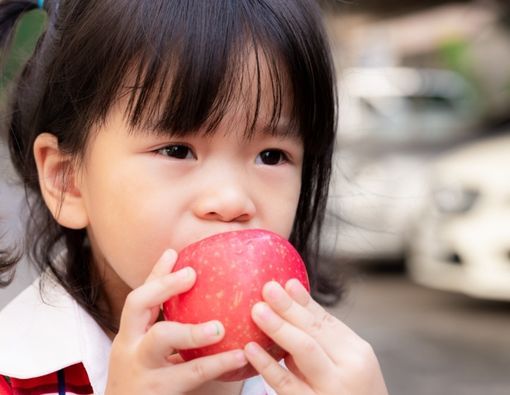 Panduan Memberikan Camilan pada Anak