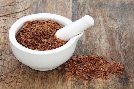 Makanan Afrodisiak Pendongkrak Kepuasan Seksual