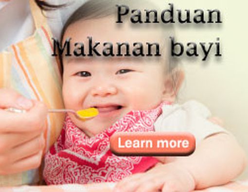 Panduan Makanan Bayi