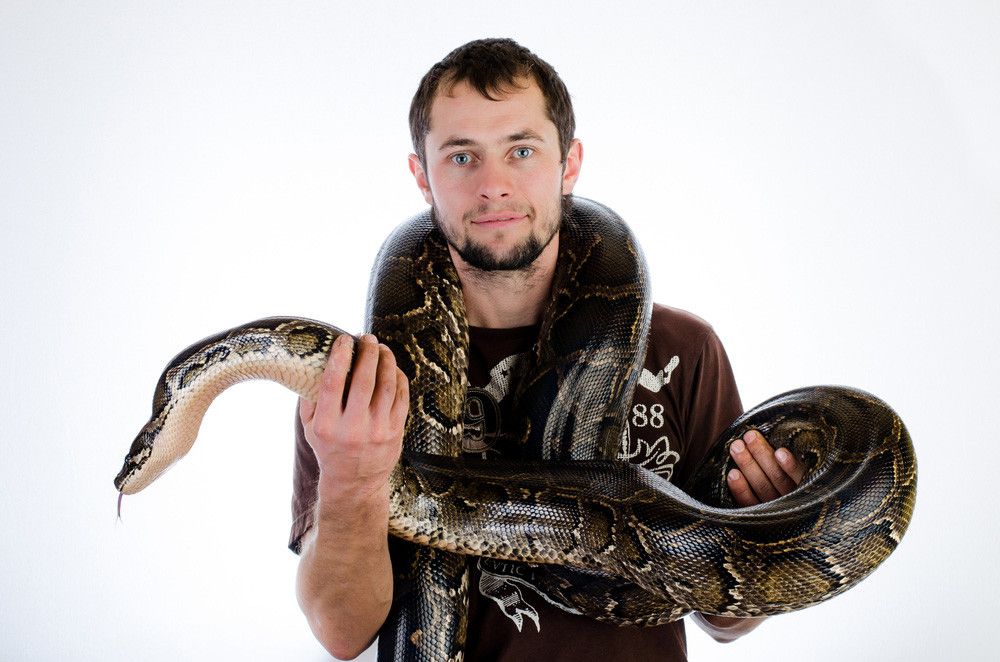 Benarkah Hobi Pelihara Reptil Rentan Tertular Penyakit?
