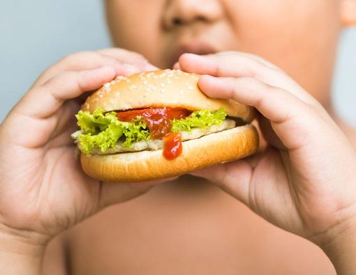 Dampak Buruk Makanan Berlemak bagi Kesehatan Otak dan Tubuh