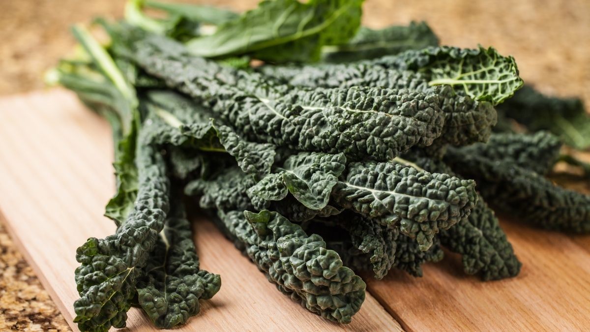 Beragam Manfaat Sayur Kale Untuk Ibu Hamil