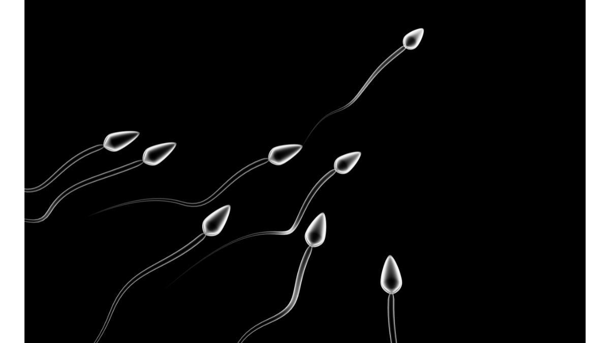 Atasi Produksi Sperma yang Rendah dengan Cara-cara Ini