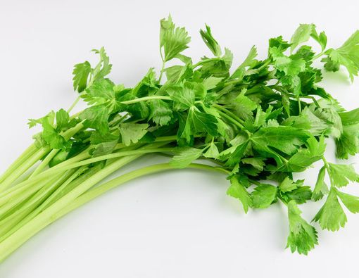 Apigenin, Zat dalam Seledri yang Dapat Melawan Penyakit