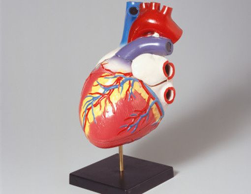 Alkohol dan Penyakit Jantung