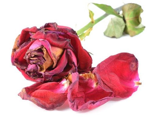 4 Perubahan Vagina yang Paling Sering Terjadi Setelah Melahirkan