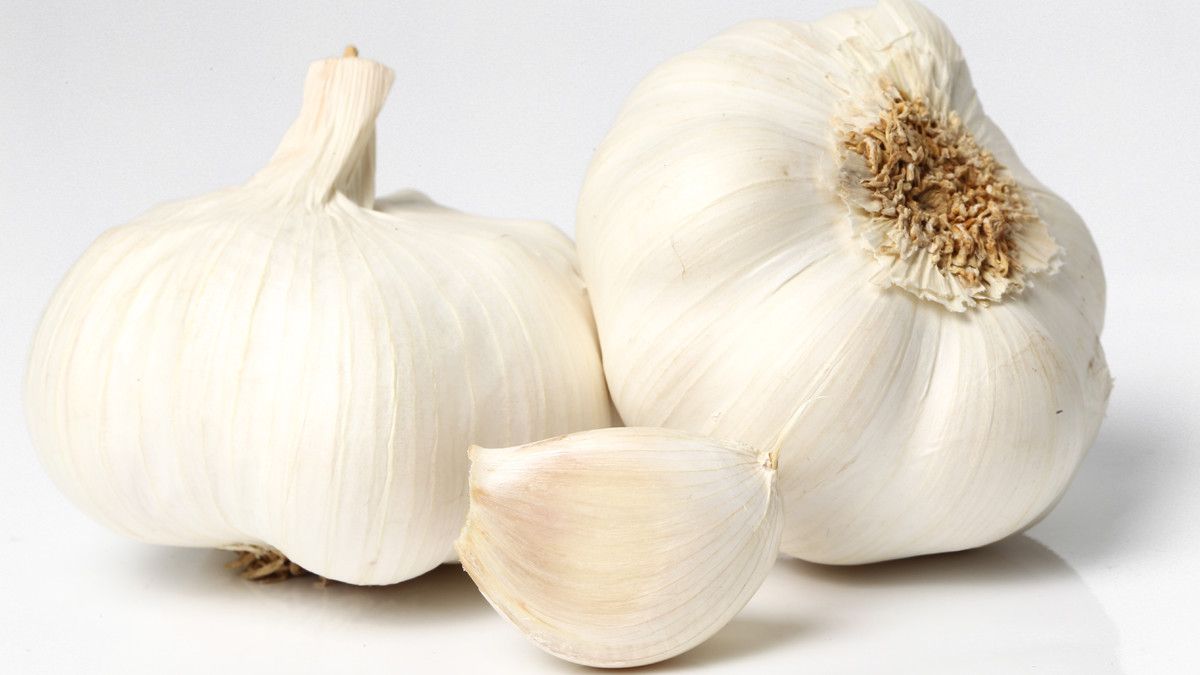 Bawang Putih Ampuh Mengobati Bisul, Ini Penjelasan Medisnya