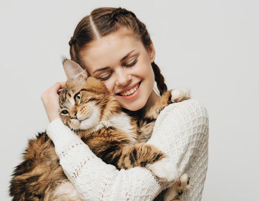 Salah Kaprah tentang Toksoplasma