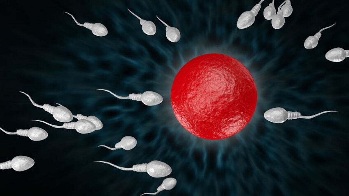 Program Hamil Tak Kunjung Berhasil? Bisa Jadi Anda Alergi Sperma
