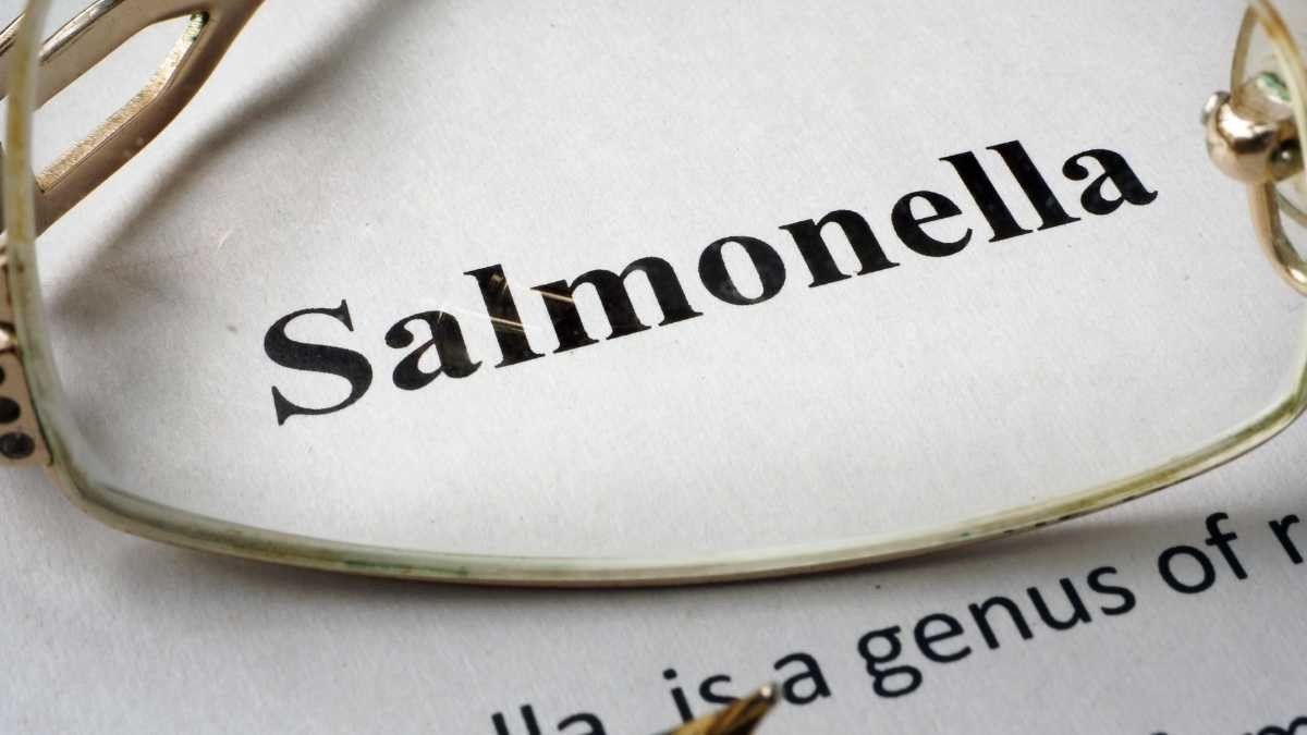 Bahaya Keracunan Salmonella pada Anak dan Cara Mengatasinya
