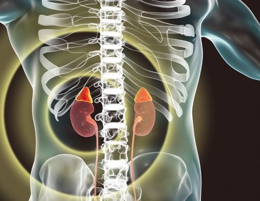 Ketahui Penyebab dan Gejala TBC Ginjal