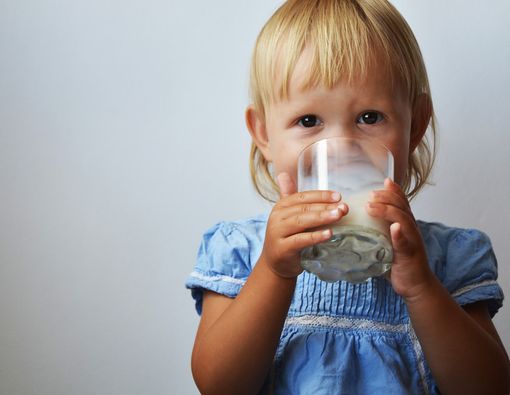Bolehkah Anak Minum Susu Organik?