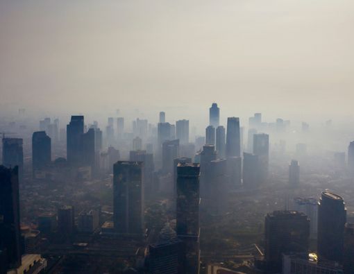 Waspada, Ini 11 Penyakit Berbahaya yang Disebabkan Polusi Udara