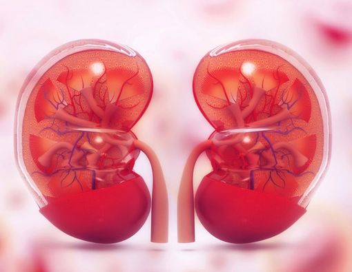 Mengenal Gangguan Ginjal yang Dialami Melania Trump