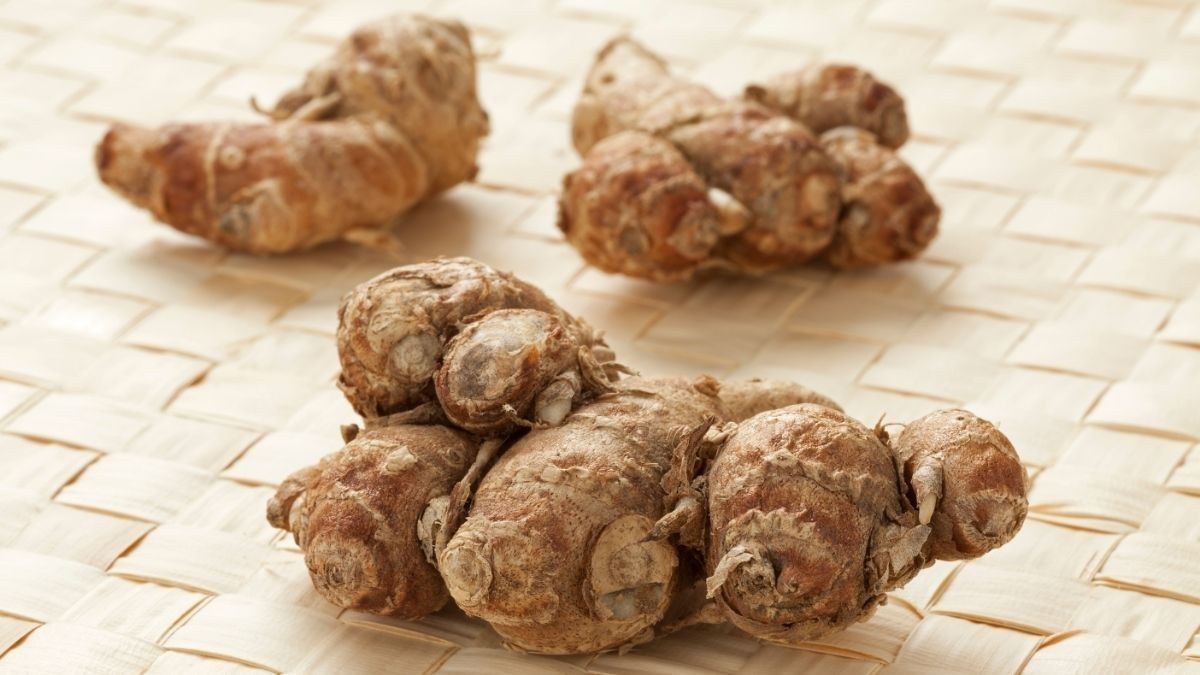 Manfaat Kencur untuk Obati Batuk Bayi