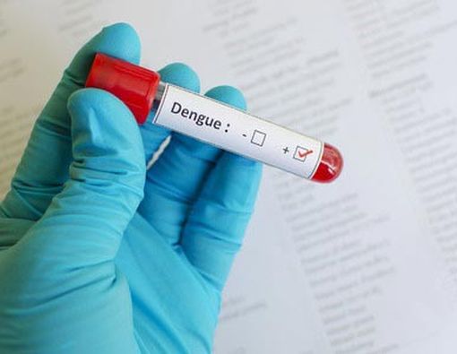 Melawan Demam Berdarah, Bagaimana Caranya?