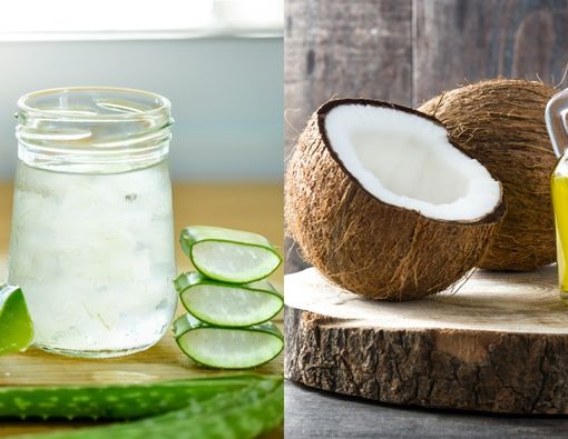 Aloe Vera atau Minyak Kelapa, Mana yang Terbaik untuk Pelumas Seks?
