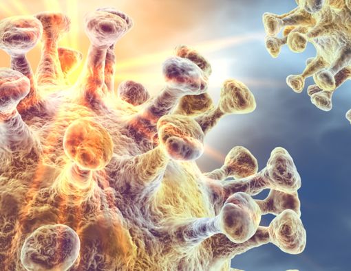 Tak Hanya Paru, Virus Corona Bisa Rusak Jantung, Hati, dan Ginjal!