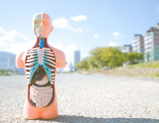 Penyebab dan Tanda-Tanda Tubuh Mengalami Multiorgan Failure