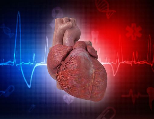 Kaldu Tulang Bisa Tingkatkan Kesehatan Jantung?