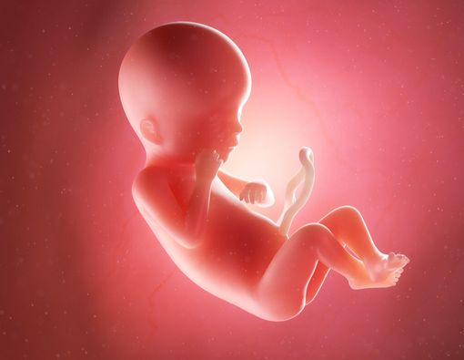 Penyebab Pertumbuhan Janin Terhambat